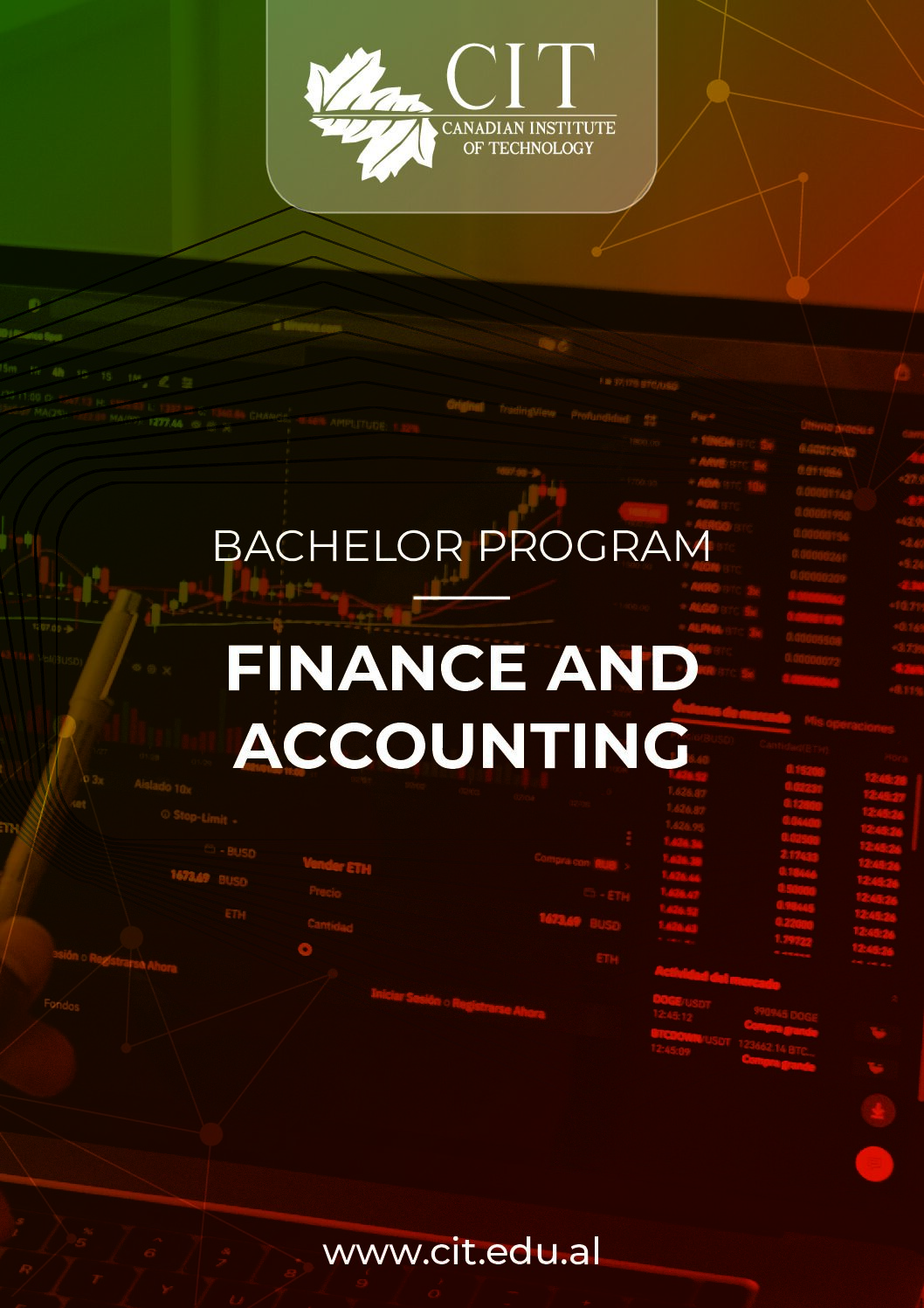 Bachelor Finance and Accounting program pdf 1